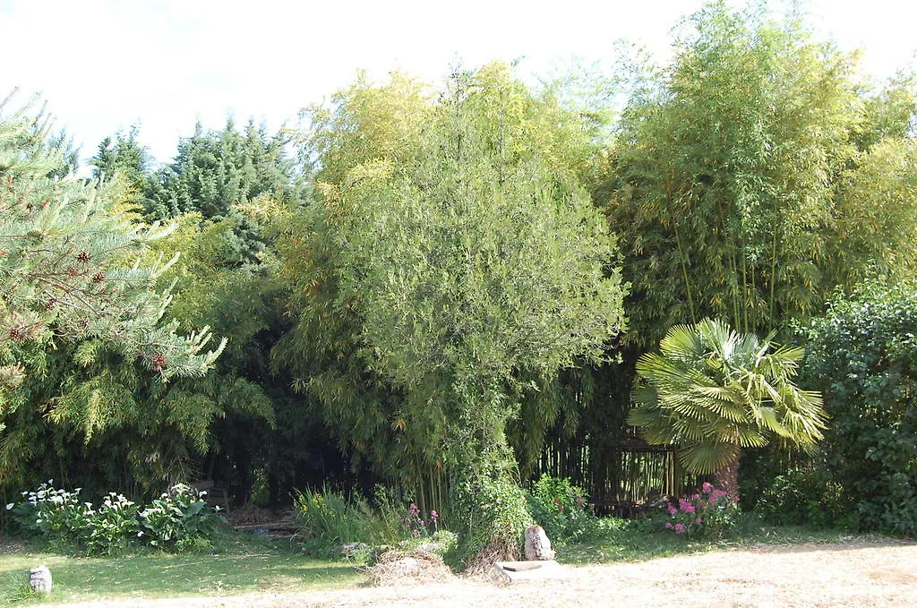 Gite Le Gre Chantemerle-les-Grignan 0*,