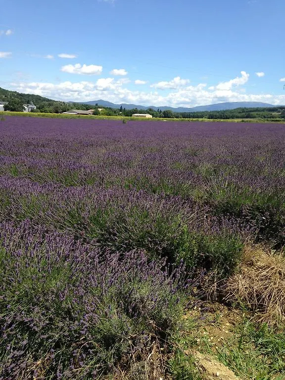 Gite Le Gre Chantemerle-les-Grignan 0*,
